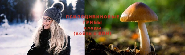 индика Алзамай