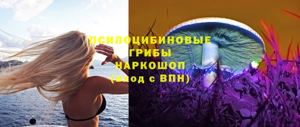 ECSTASY Алексеевка