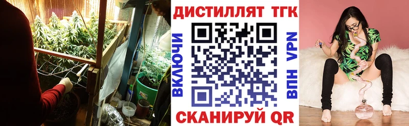 ссылка на мегу ссылки  Гаджиево  ТГК концентрат  даркнет сайт 