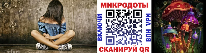 omg онион  Гаджиево  Псилоцибиновые грибы Magic Shrooms 